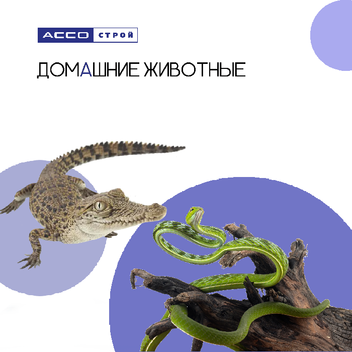 Каких животных запрещено держать дома?